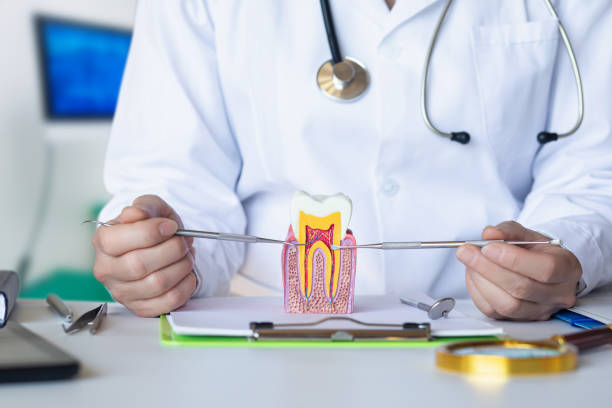 Best Knocked-Out Tooth Emergency  in Kaibito, AZ